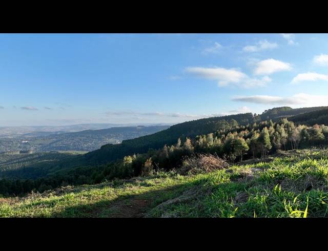 LAND FOR SALE IN MOUNT VERDE